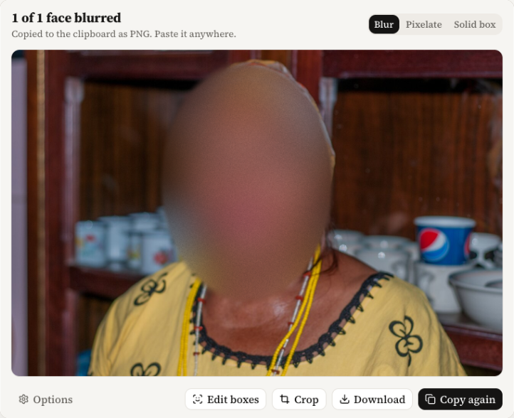 Leon's preview: 1 of 1 face blurred, copied to the clipboard as PNG, with buttons to edit boxes, crop, download and copy again.